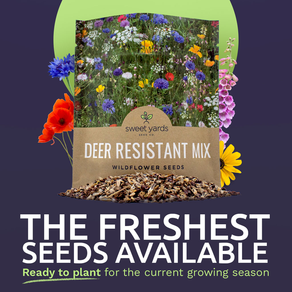 Deer Resistant Wildflower Blend