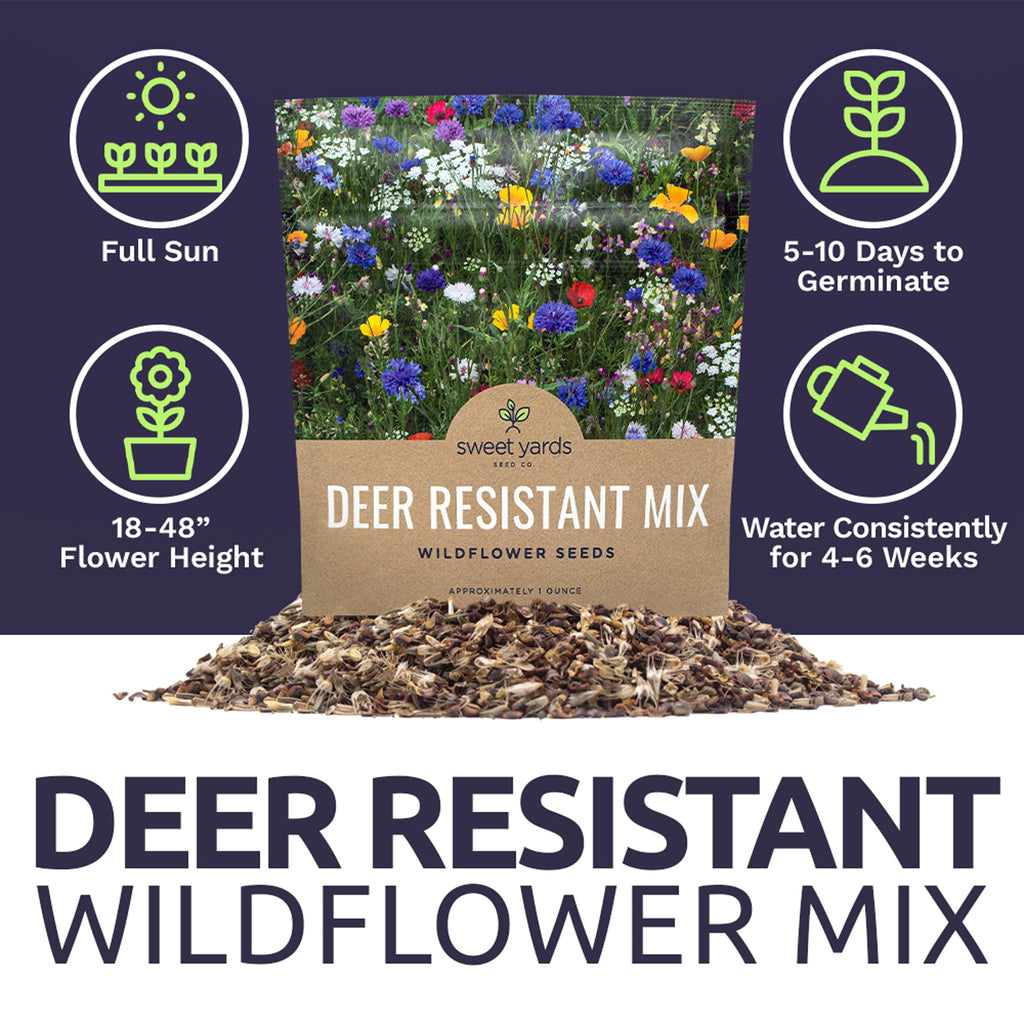 Deer Resistant Wildflower Blend