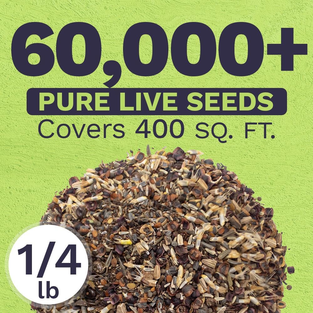 Deer Resistant Wildflower Blend