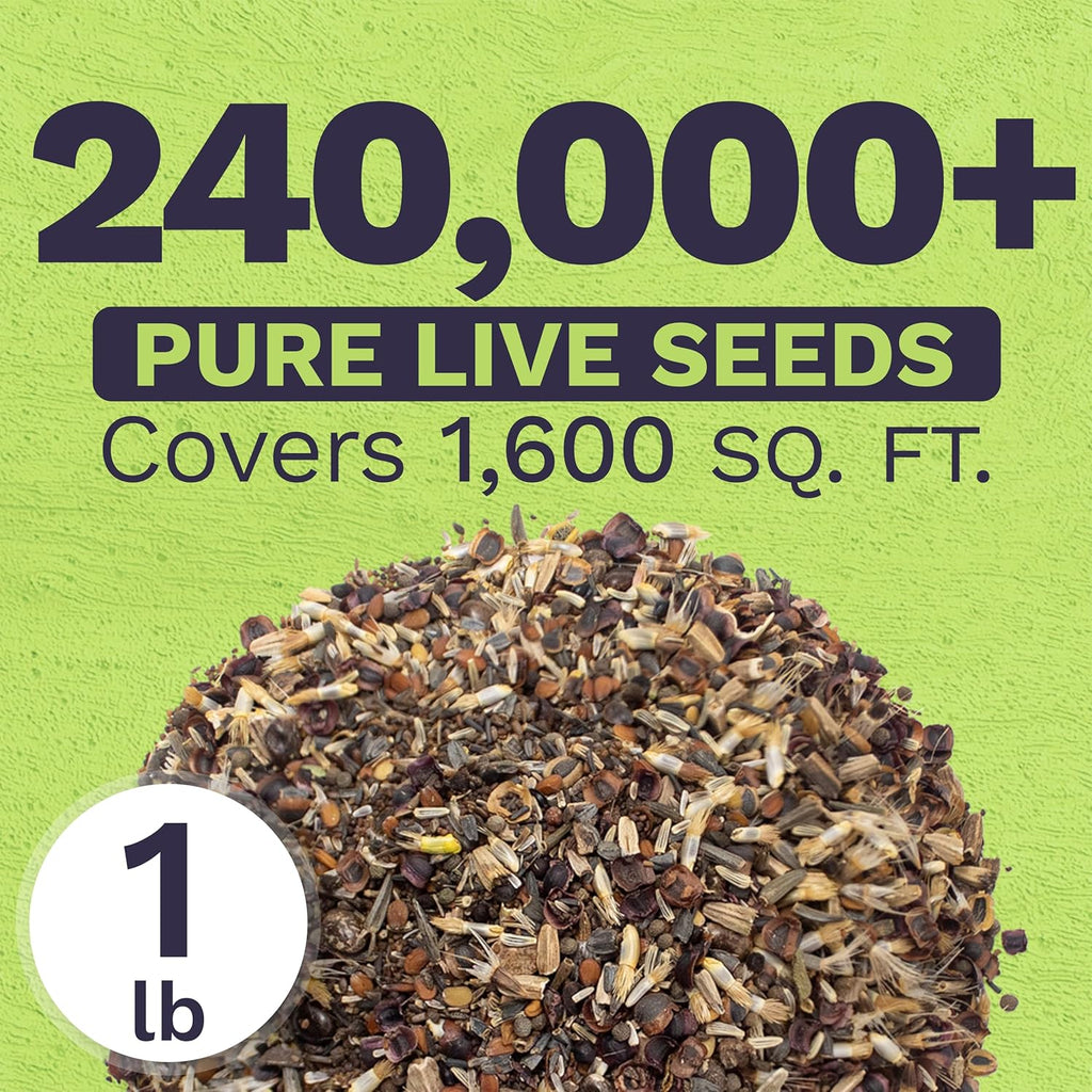 Deer Resistant Wildflower Blend