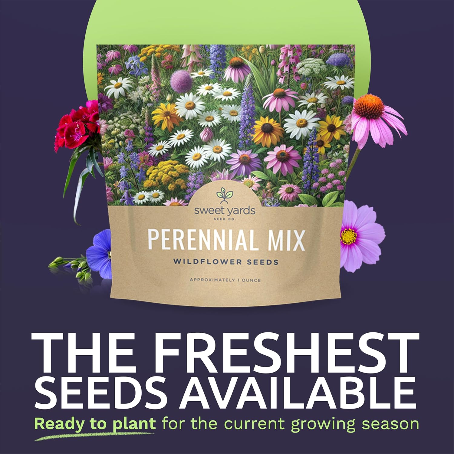 Perennial Wildflower Seeds Mixture – Sweet Yards