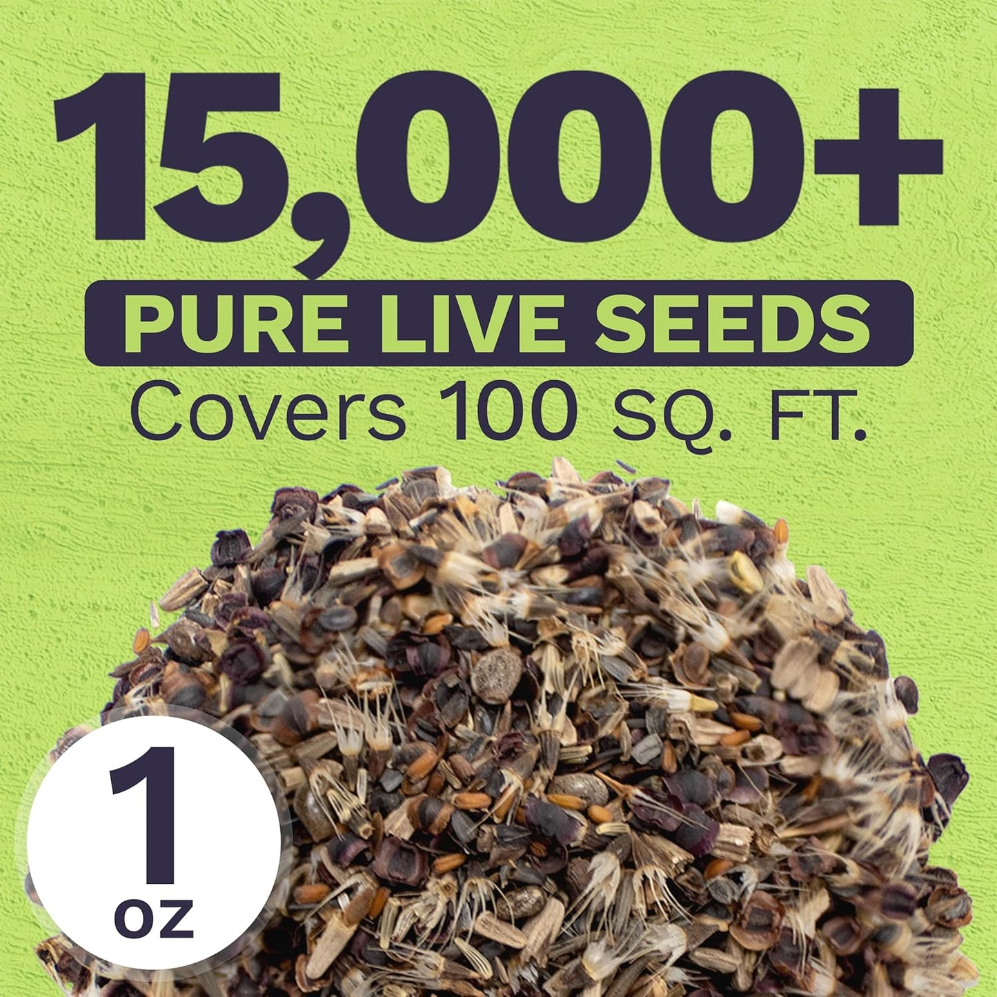 Perennial Wildflower Seeds Mixture