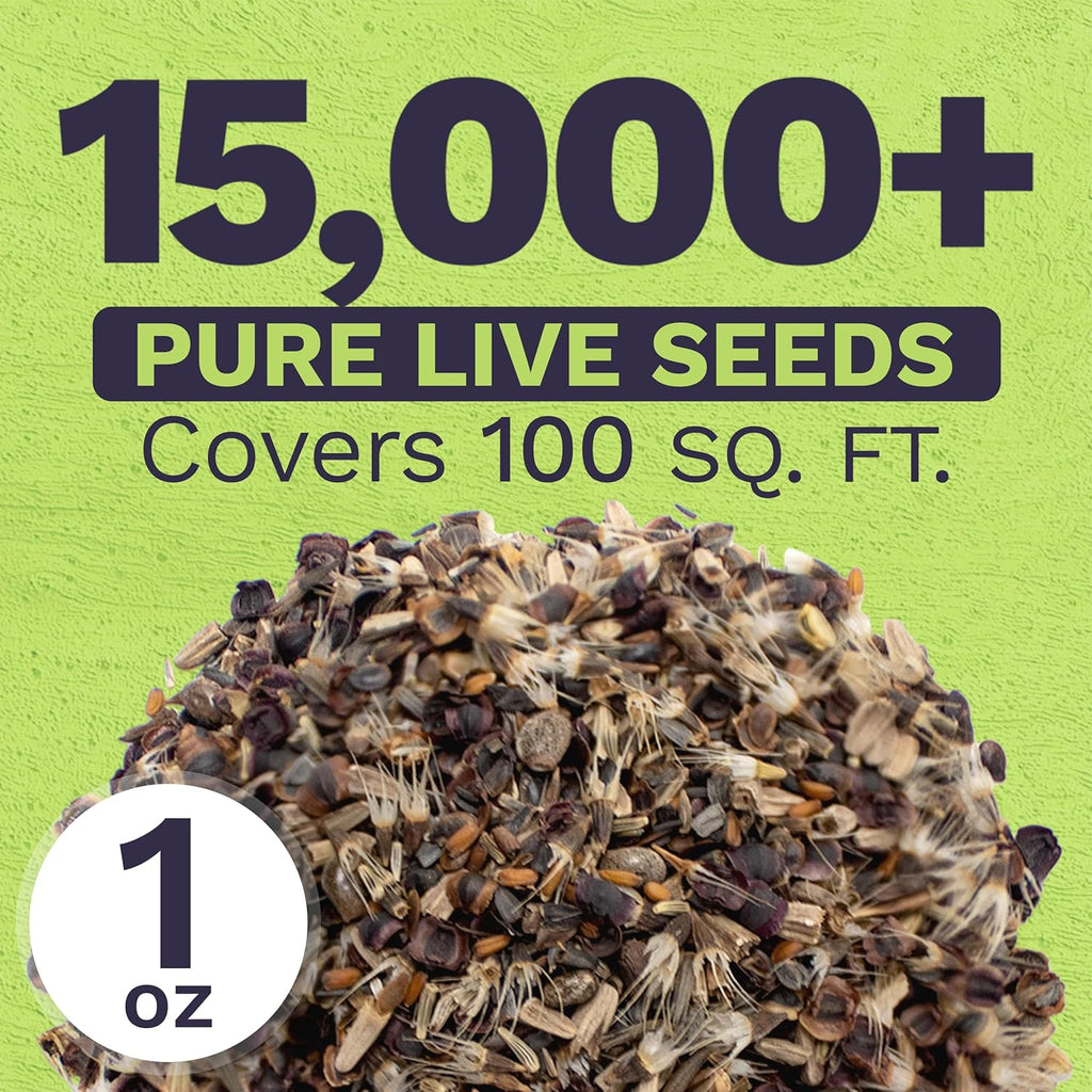 Perennial Wildflower Seeds Mixture