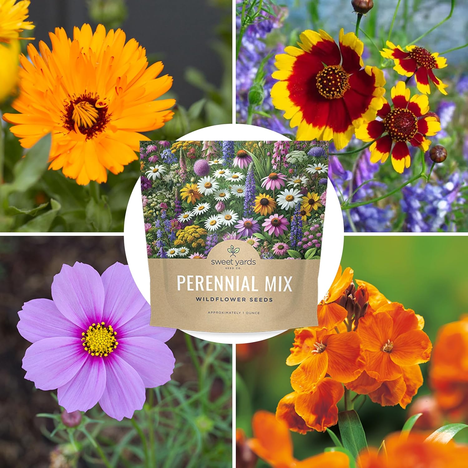 flower seeds packet The Old Farmer's Almanac Premium Pollinator Mix Wildflower Seeds
