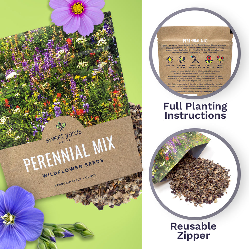 Perennial Wildflower Seeds Mixture