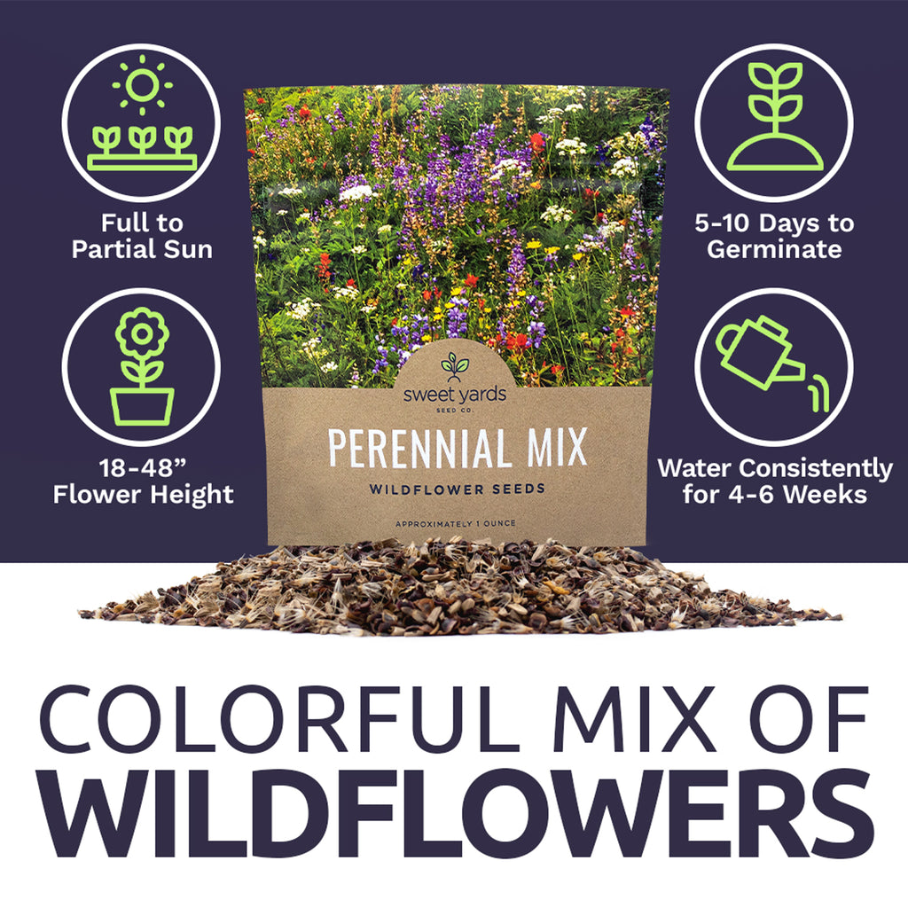 Perennial Wildflower Seeds Mixture