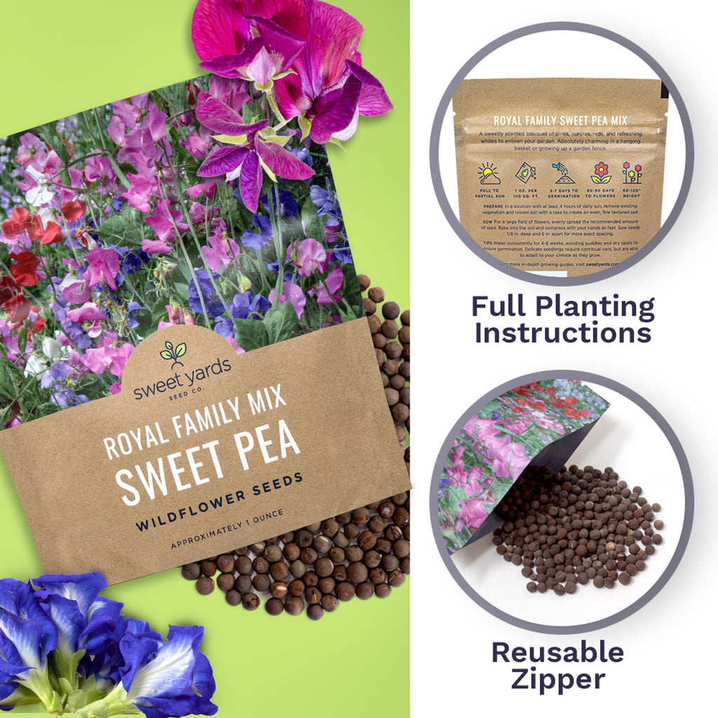 Sweet Pea Royal Family Mix