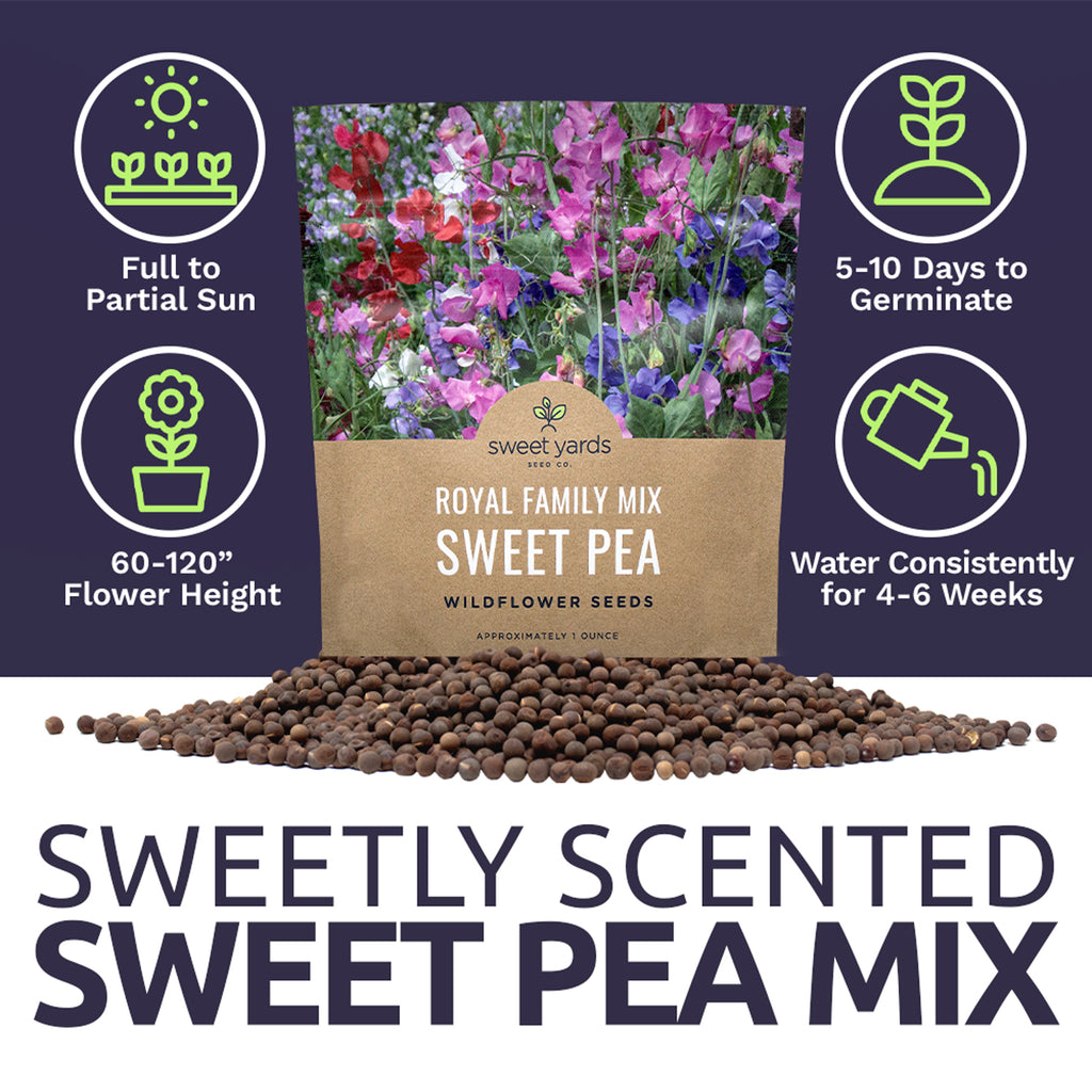 Sweet Pea Royal Family Mix