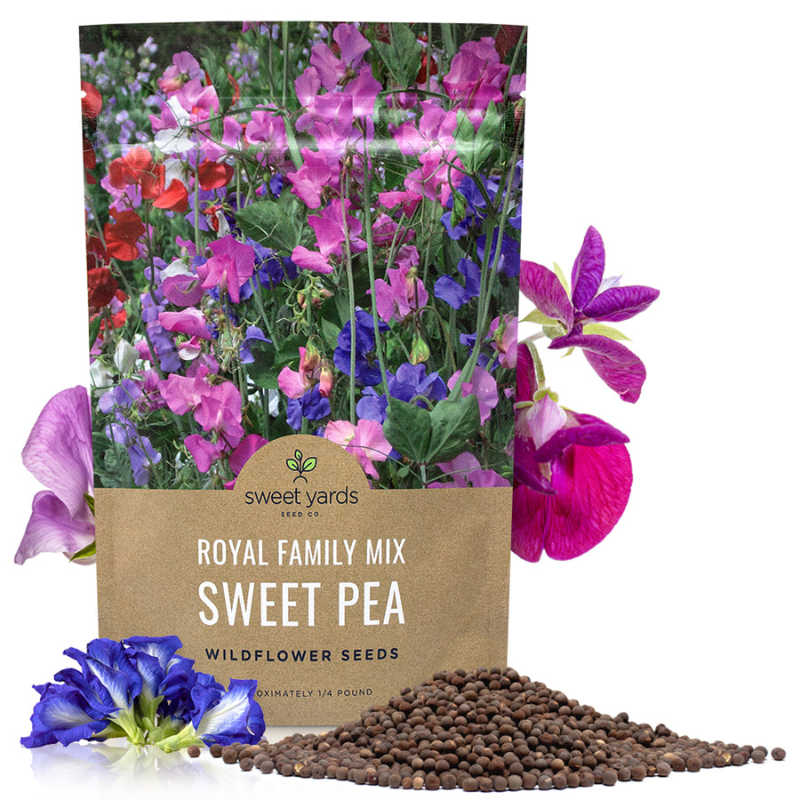 Sweet Pea Royal Family Mix