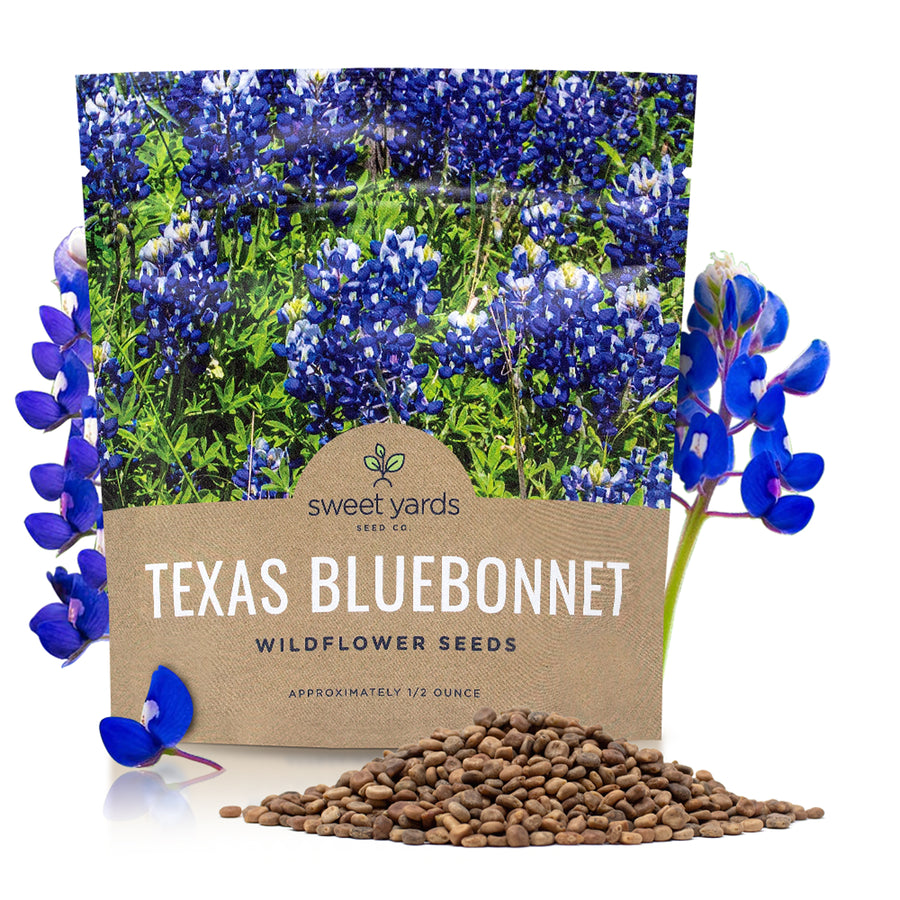 Texas Bluebonnet Wildflower Seed Mix