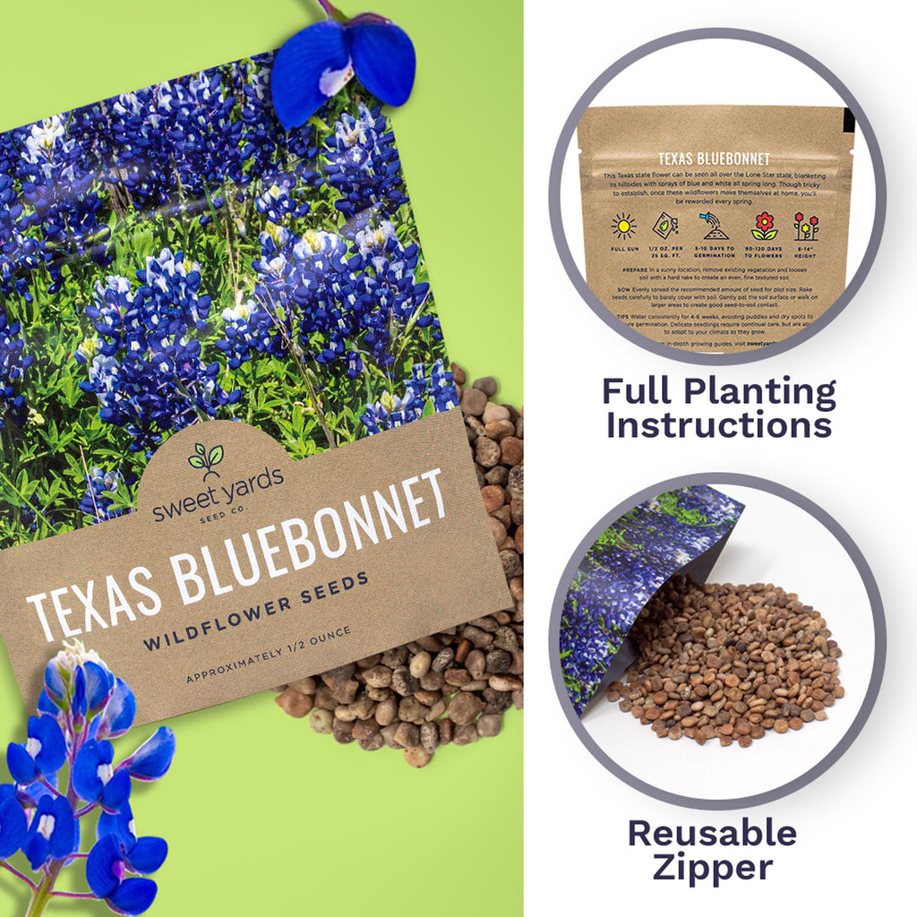 Texas Bluebonnet Wildflower Seed Mix