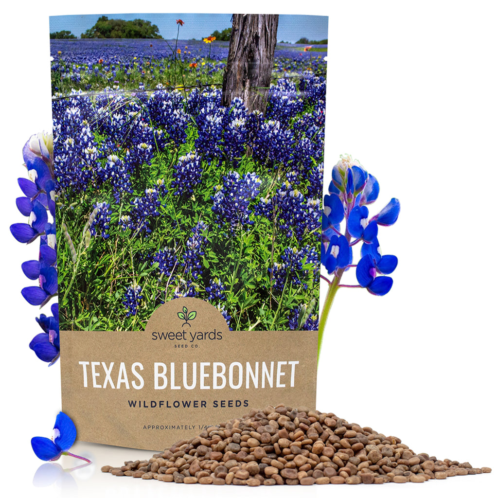 Texas Bluebonnet Wildflower Seed Mix