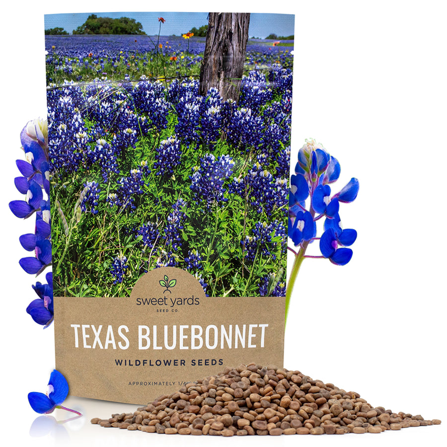 Texas Bluebonnet Wildflower Seed Mix