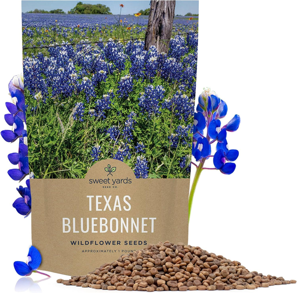 Texas Bluebonnet Wildflower Seed Mix