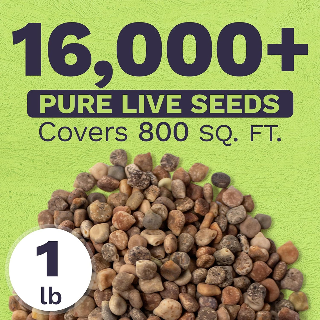 Texas Bluebonnet Wildflower Seed Mix