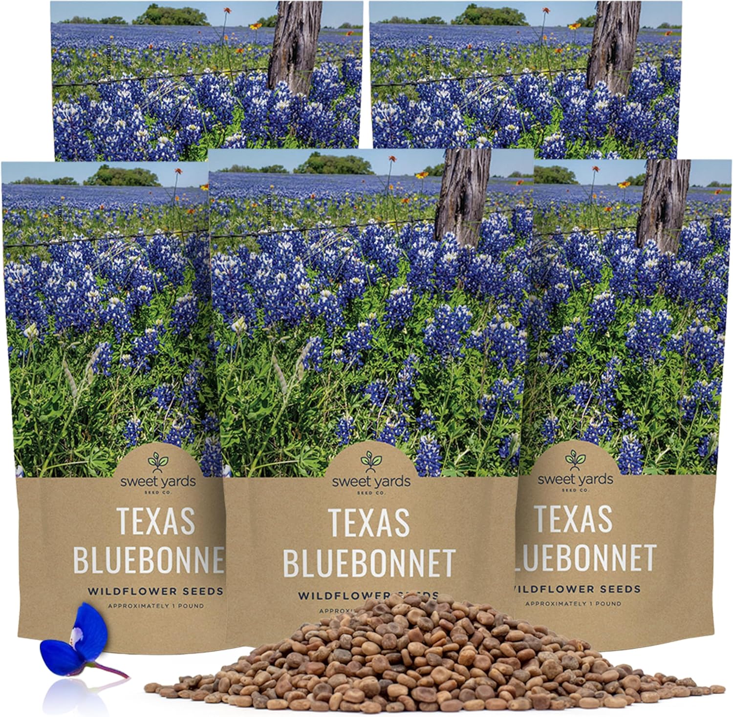 Texas Bluebonnet Wildflower Seed Mix – Sweet Yards