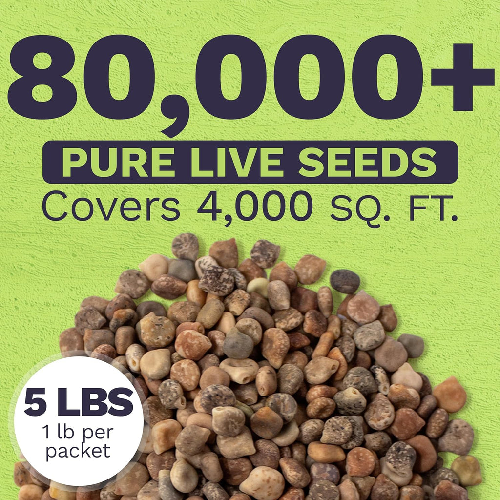 Texas Bluebonnet Wildflower Seed Mix