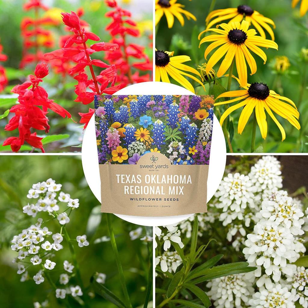 Texas Oklahoma Wildflower Seed Mixture