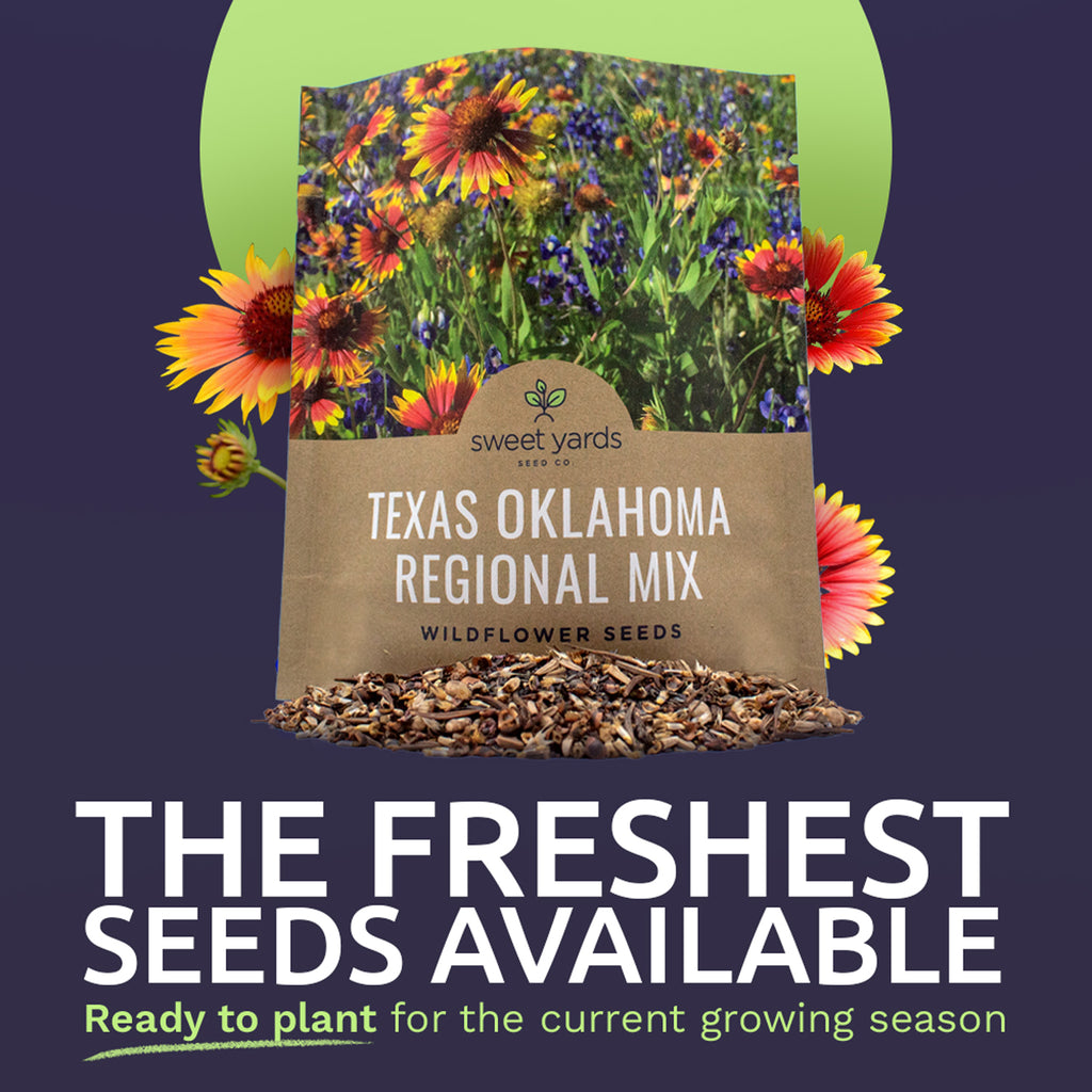 Texas Oklahoma Wildflower Seed Mixture