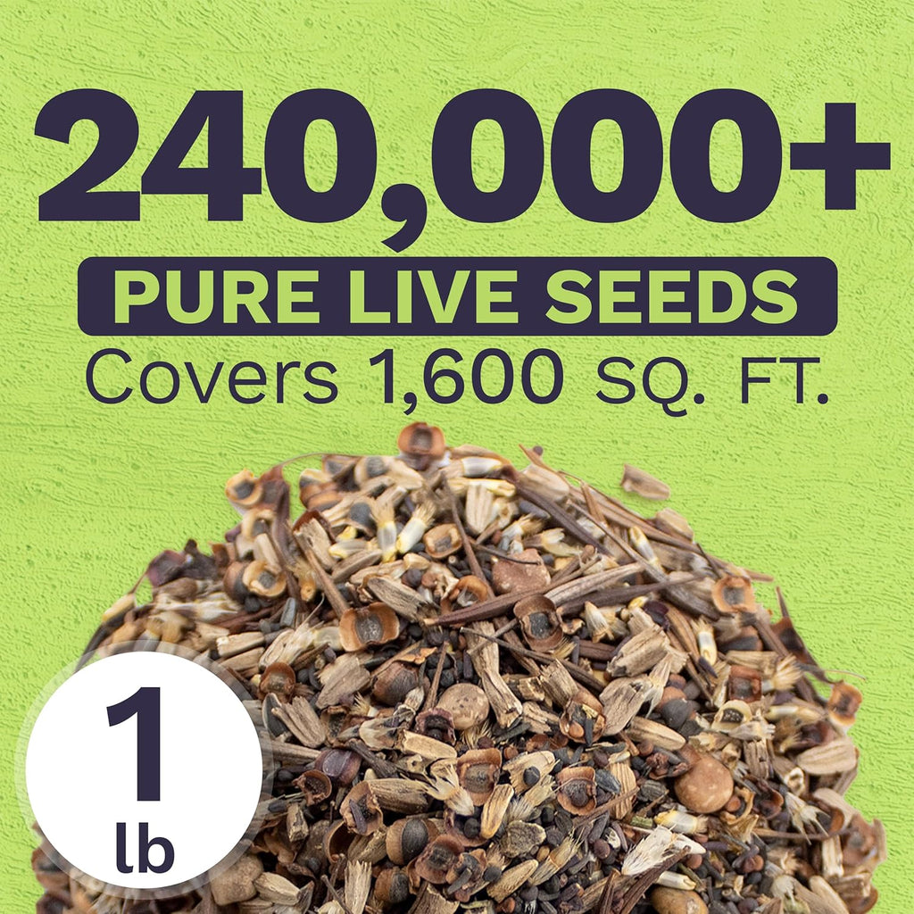 Texas Oklahoma Wildflower Seed Mixture