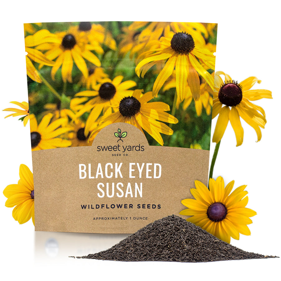 Black Eyed Susan