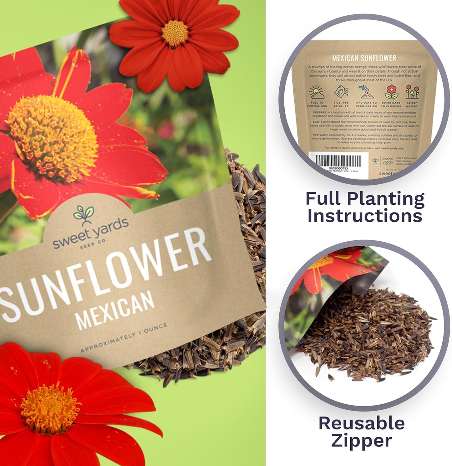 Mexican Sunflower