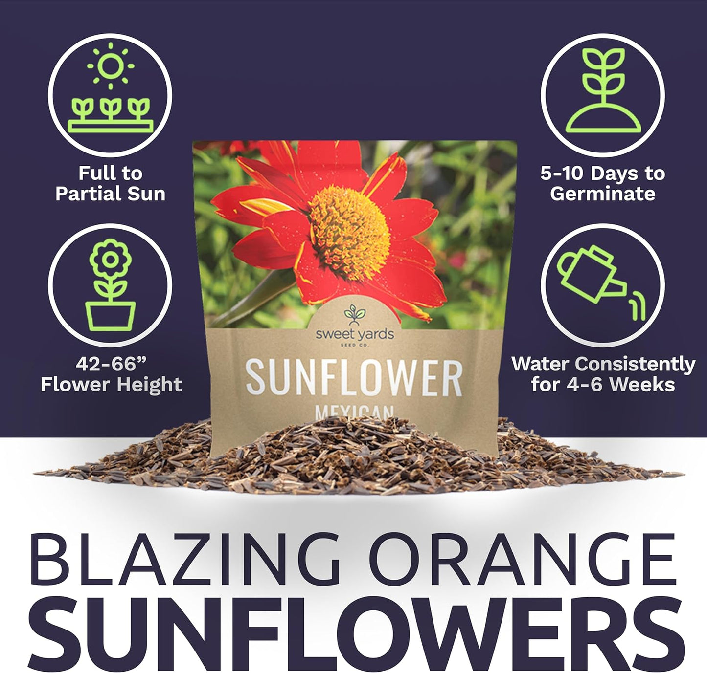 Mexican Sunflower