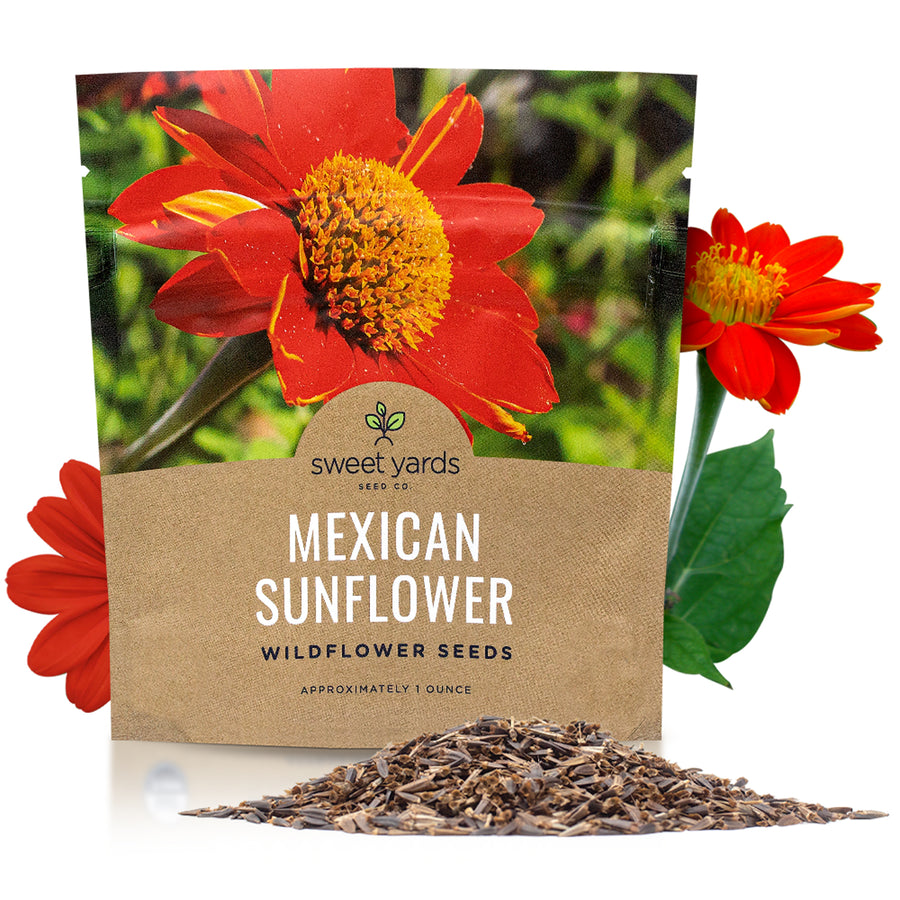 Mexican Sunflower