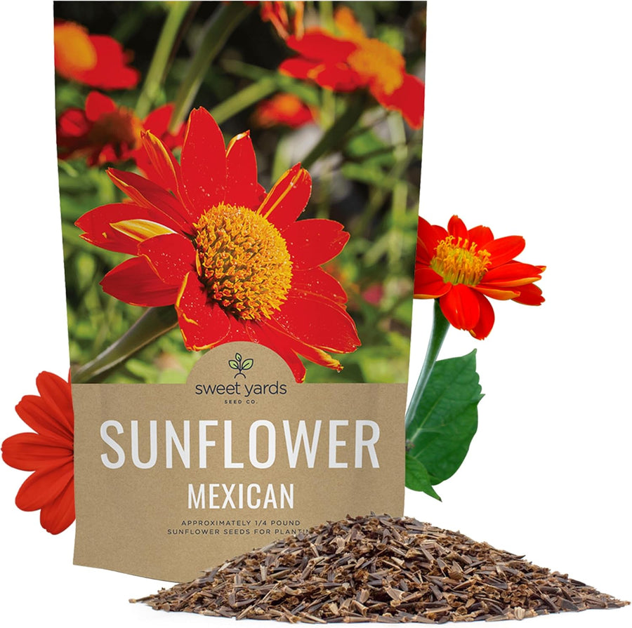 Mexican Sunflower