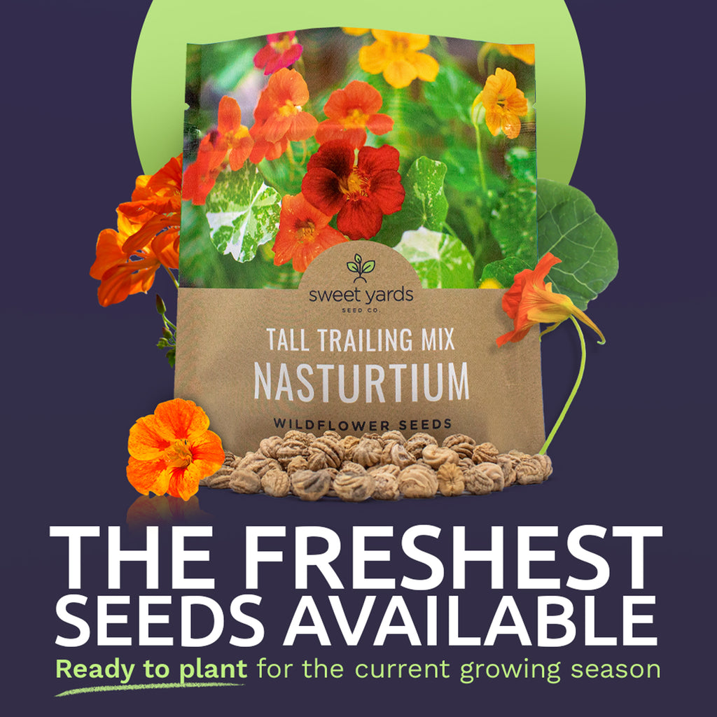 Nasturtium Seeds - Mixed Colors