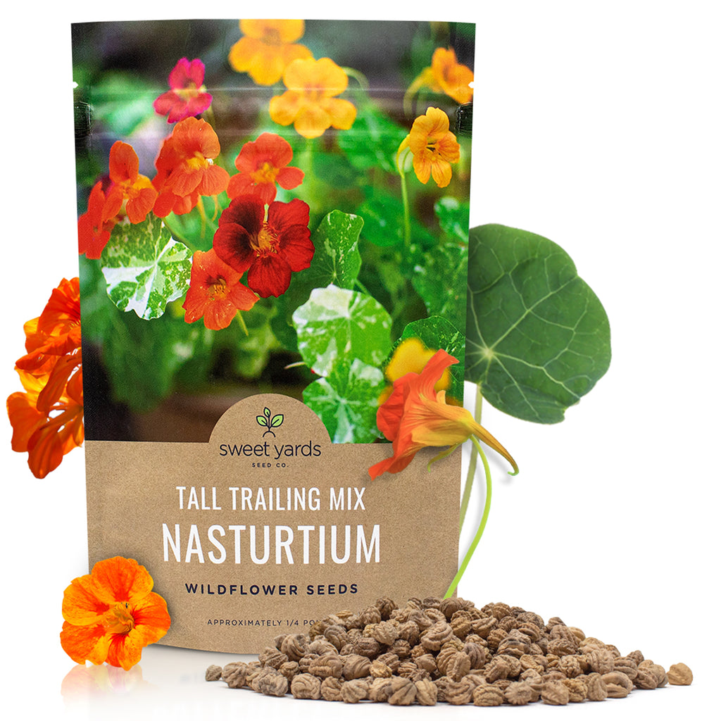 Nasturtium Seeds - Mixed Colors