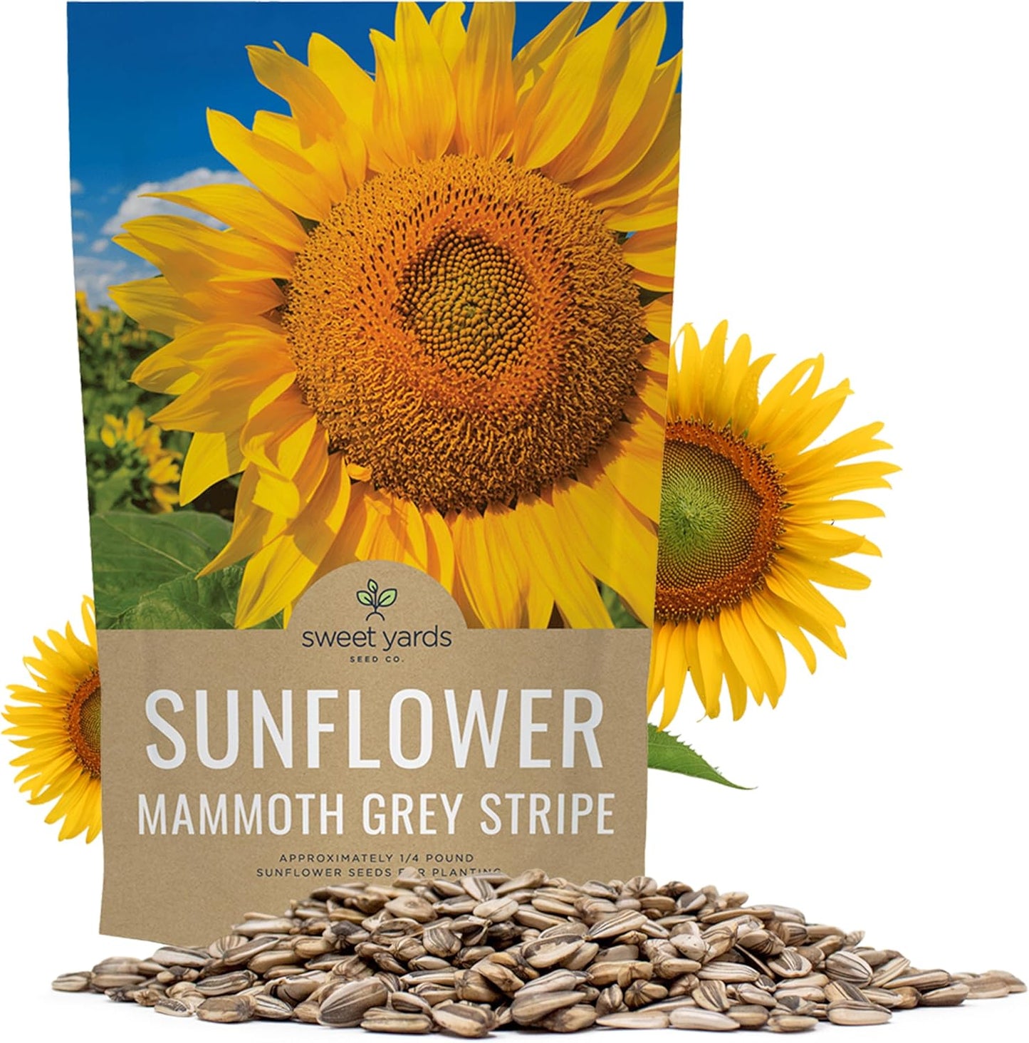 Mammoth Grey Stripe Sunflower