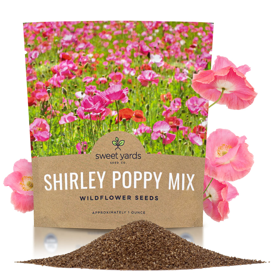 Shirley Poppy Mixed Colors