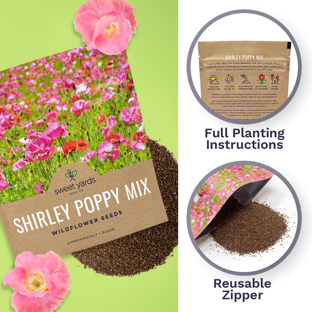 Shirley Poppy Mixed Colors