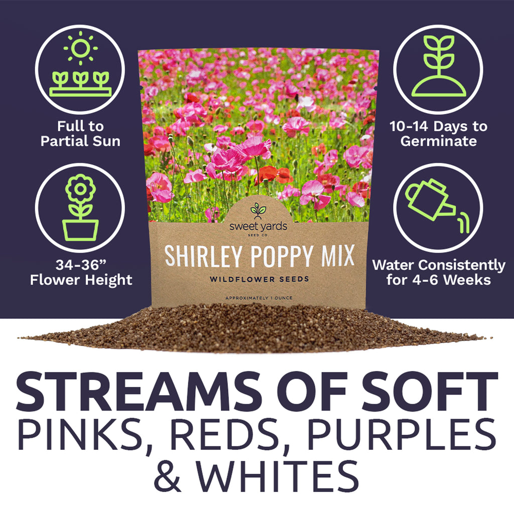 Shirley Poppy Mixed Colors