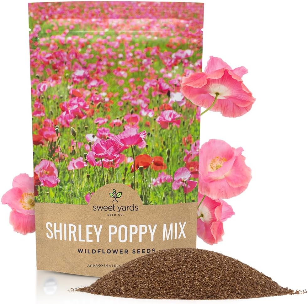Shirley Poppy Mixed Colors