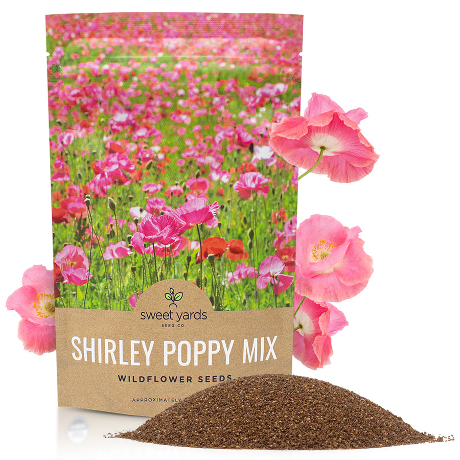 Shirley Poppy Mixed Colors