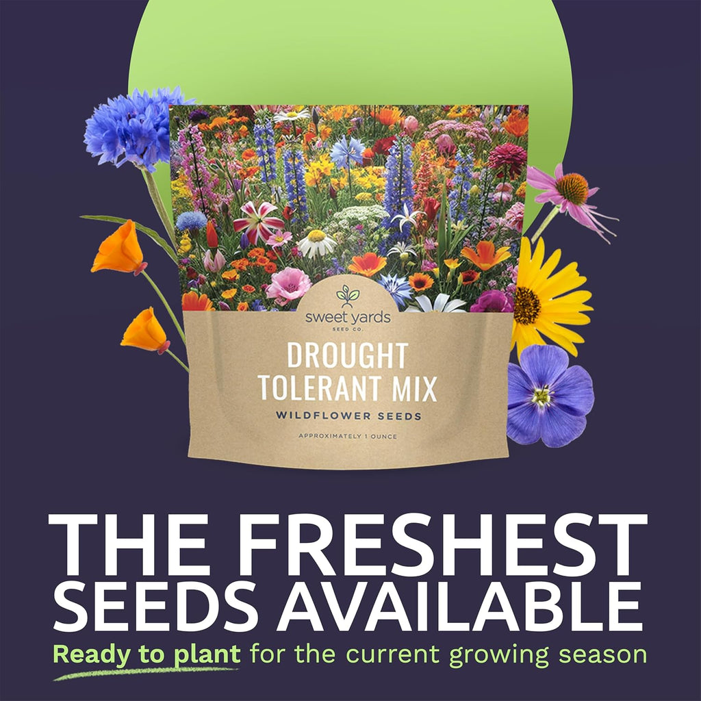 Drought Tolerant Wildflower Mix