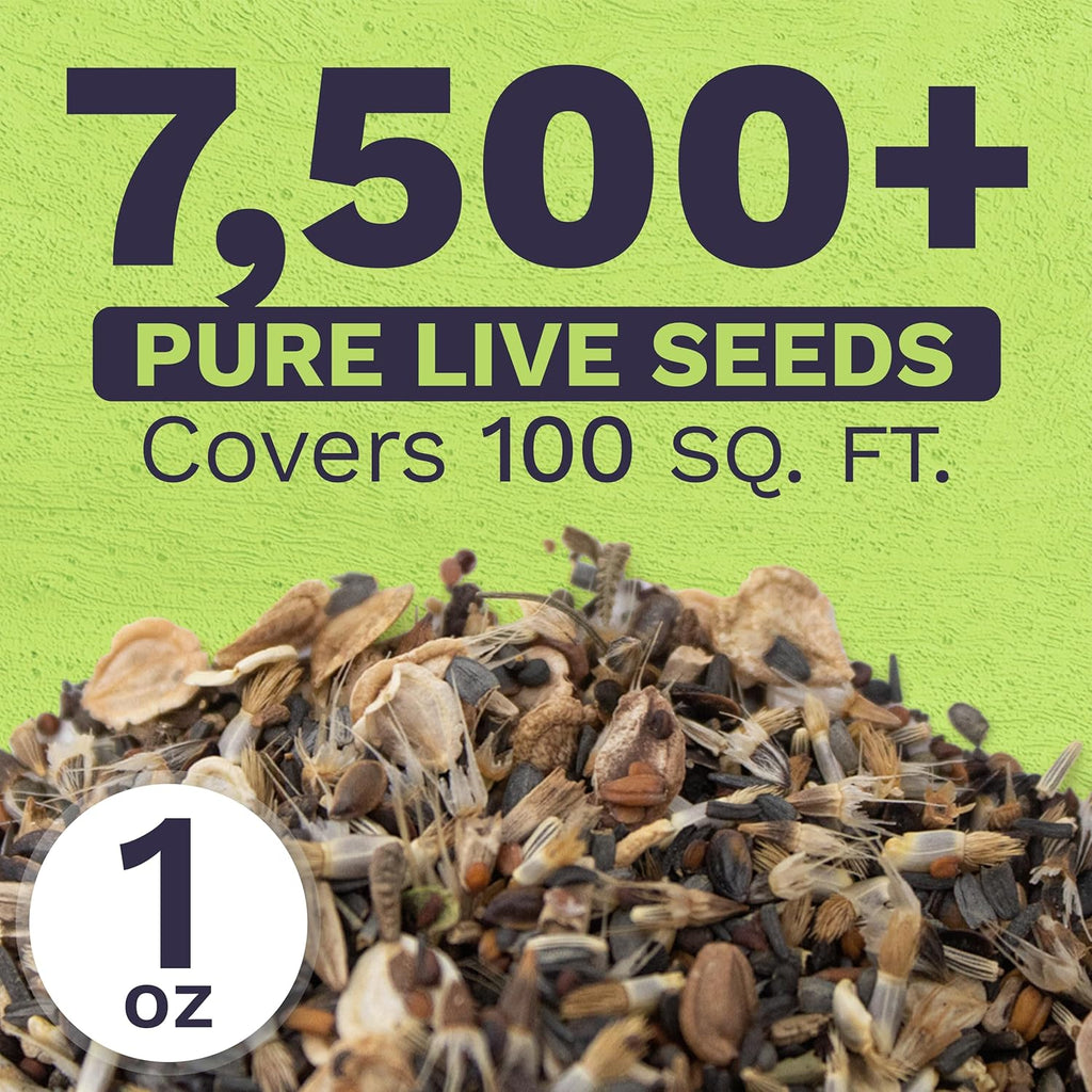 Drought Tolerant Wildflower Mix