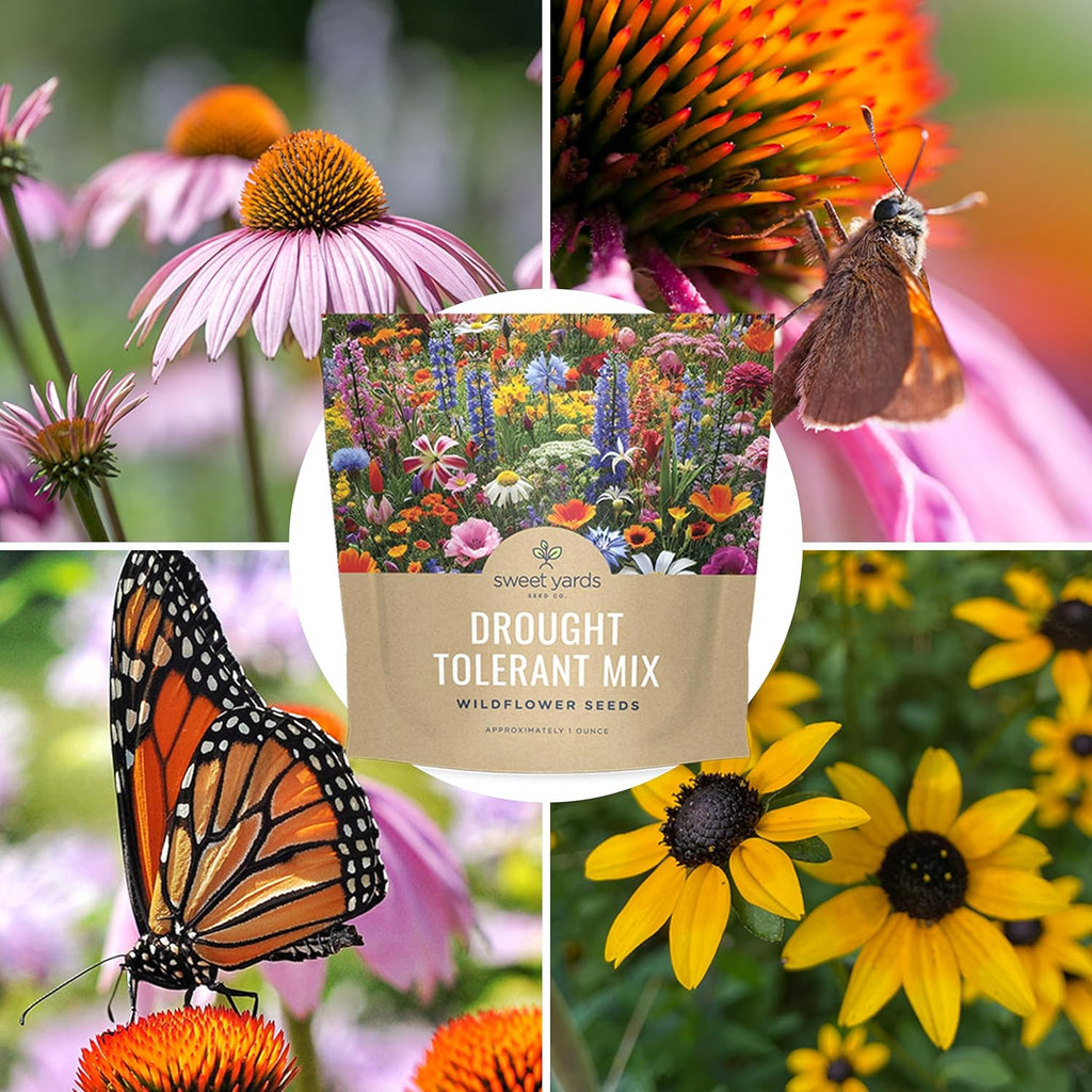 Drought Tolerant Wildflower Mix