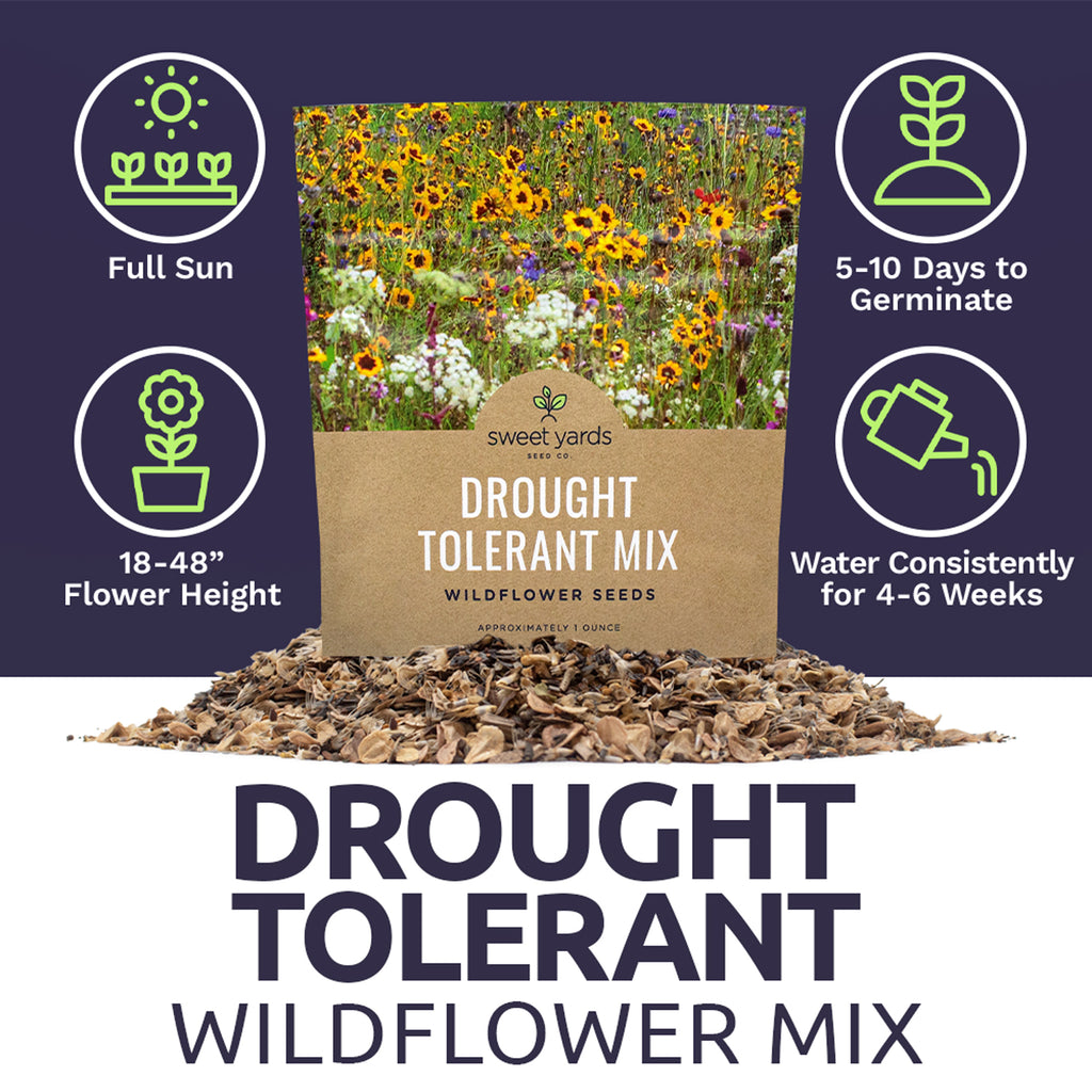 Drought Tolerant Wildflower Mix