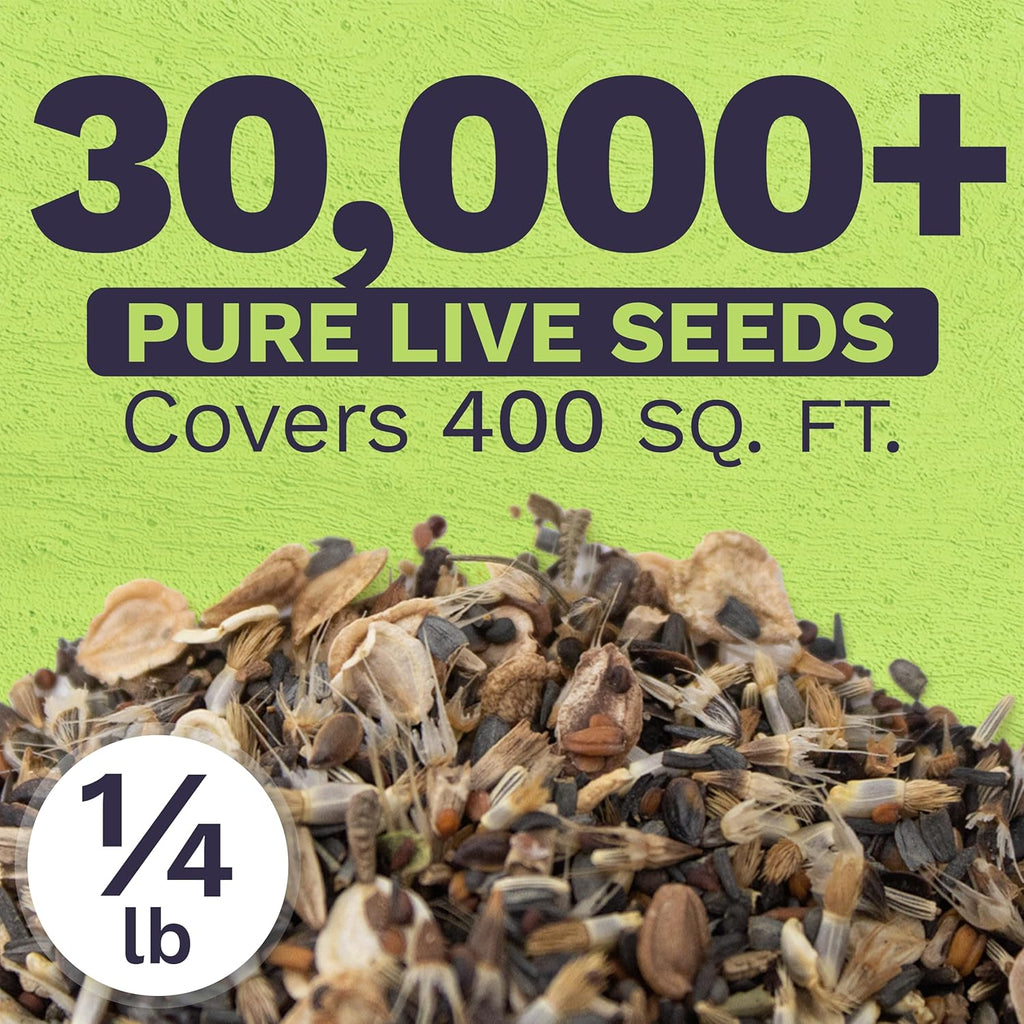 Drought Tolerant Wildflower Mix