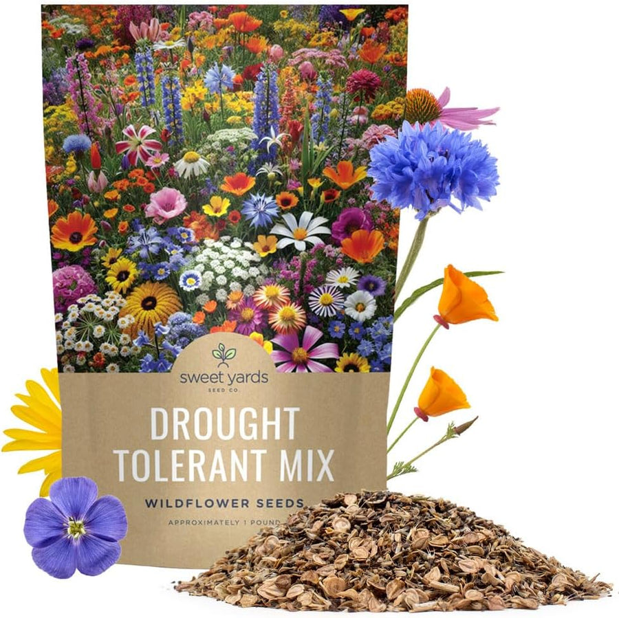 Drought Tolerant Wildflower Mix