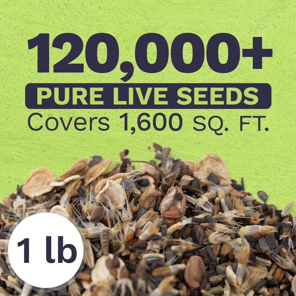 Drought Tolerant Wildflower Mix