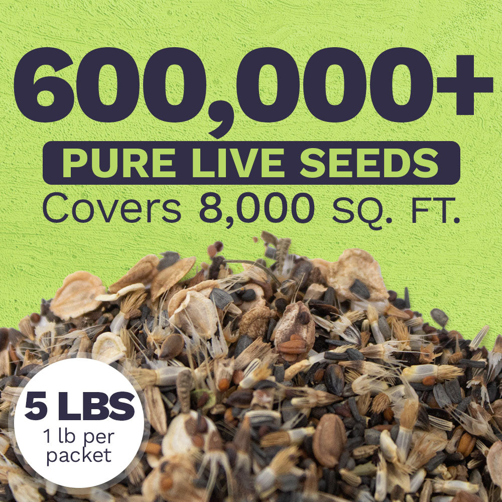 Drought Tolerant Wildflower Mix