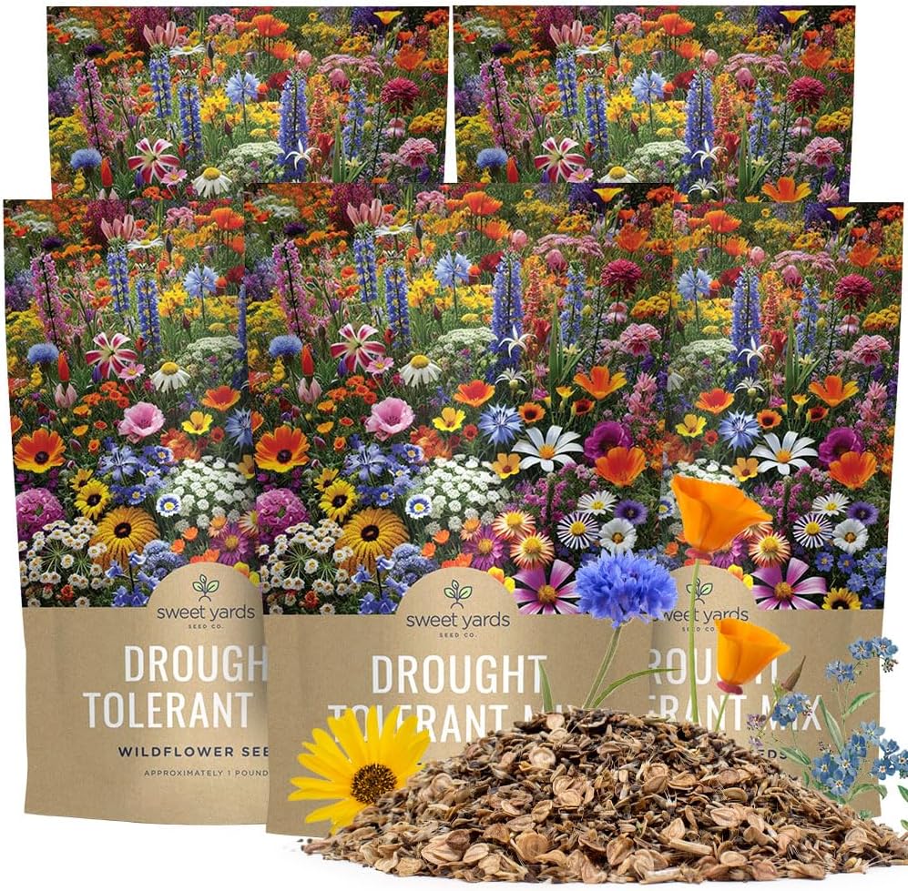 Drought Tolerant Wildflower Mix