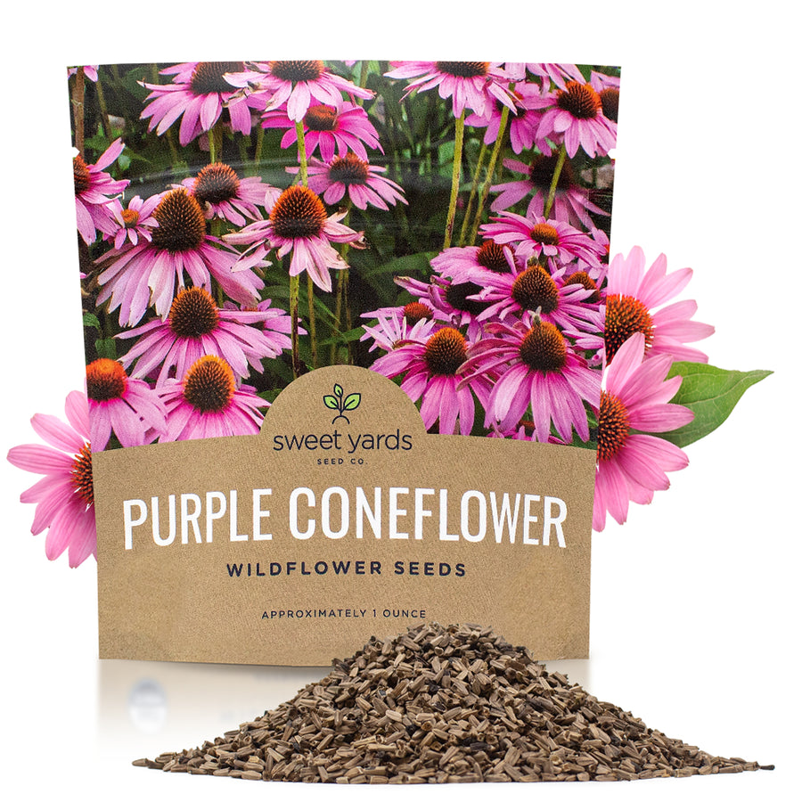 Purple Coneflower Seeds