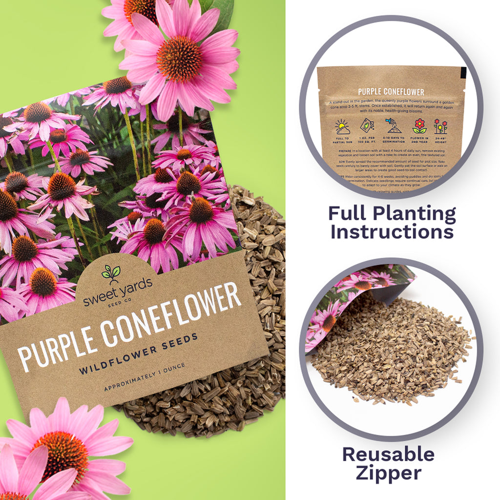 Purple Coneflower Seeds