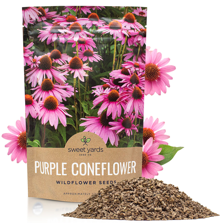 Purple Coneflower Seeds