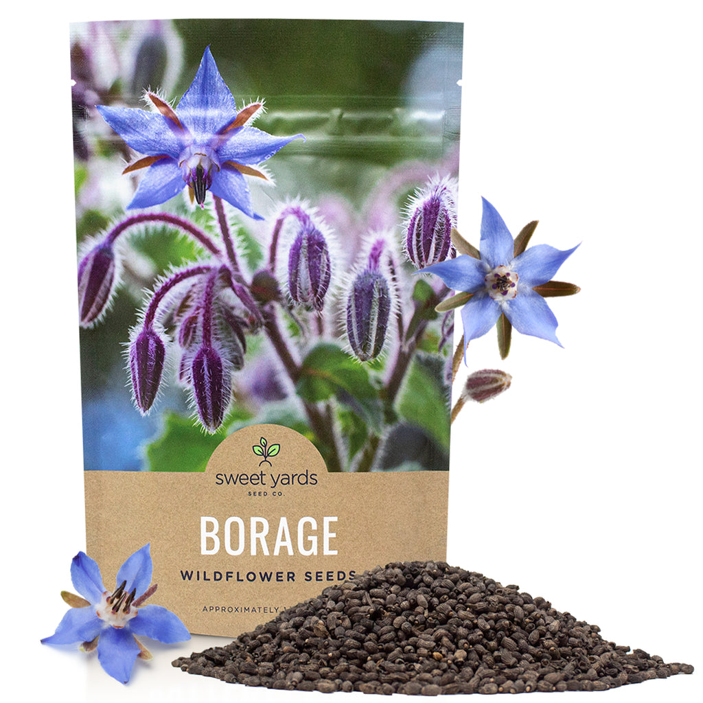 Borage Seeds